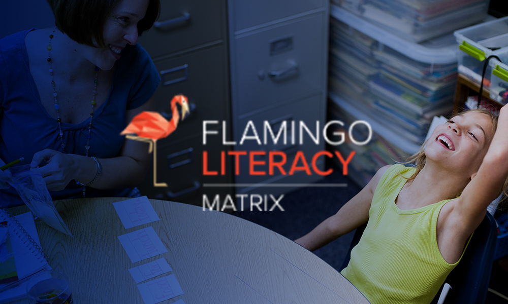Flamingo Literacy Matrix