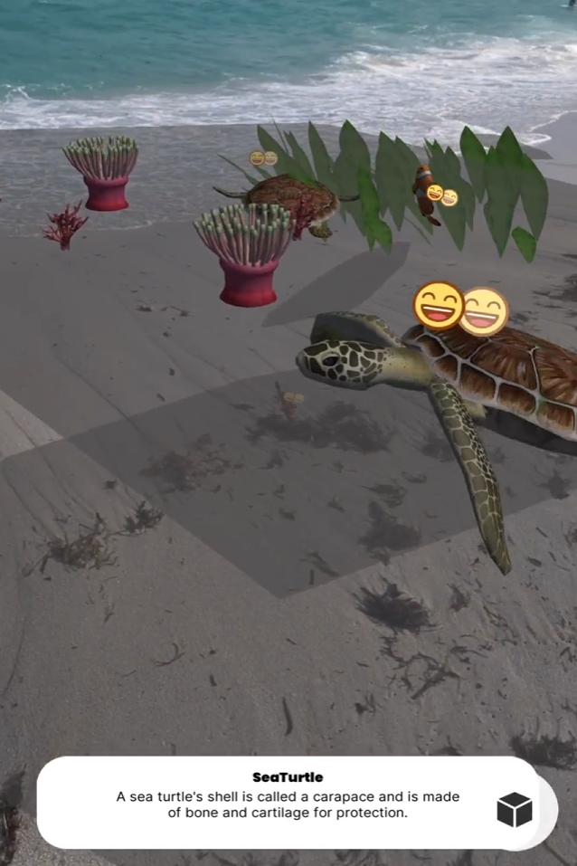 A screenshot of an in-app AR Expeditions encounter of a sea turtle.